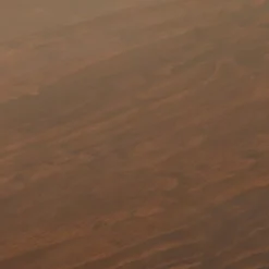 Palermo Desk Daisy Webbing Brown - Opalhouse™ Designed With Jungalow™ -Home design GUEST 61380dbd 5e4d 4038 a2d7 571e94bfa394